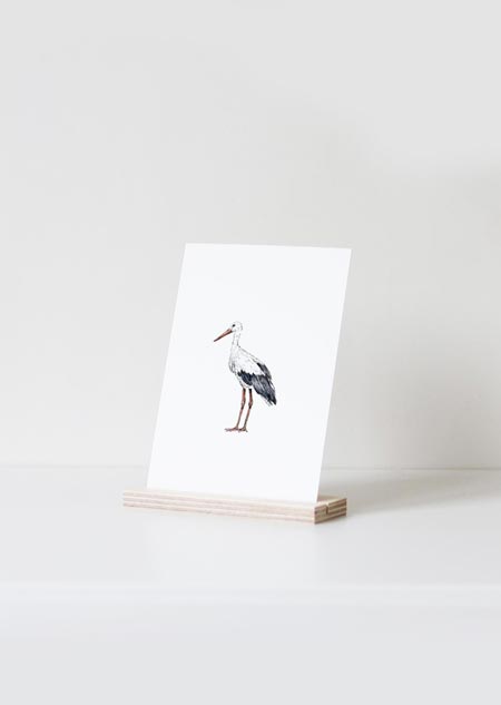 Stork (color)
