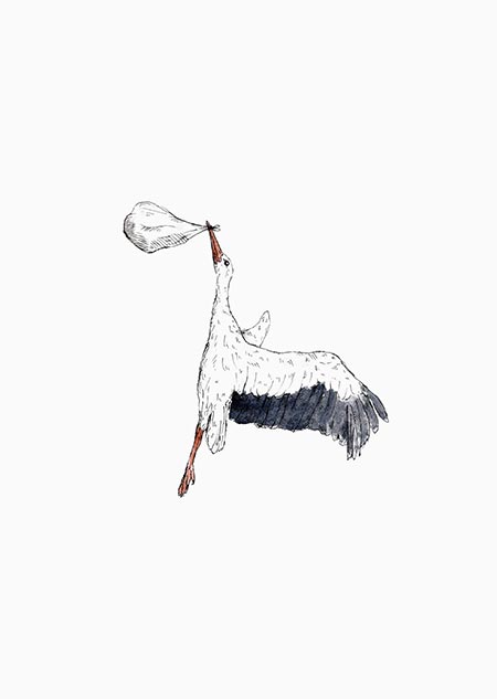 Stork flying (color)