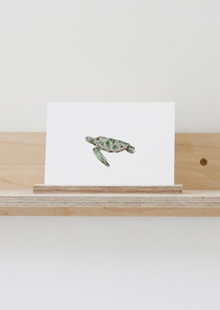 Schildpad (kleur)
