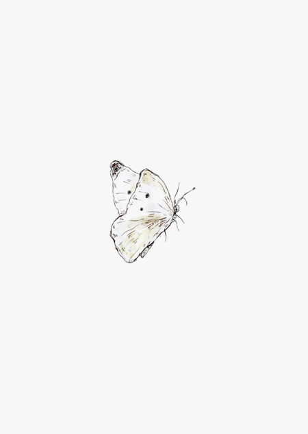 Butterfly (color)
