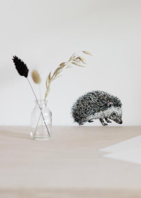 Wall sticker - hedgehog (color)