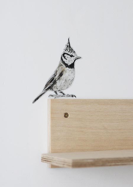 Wall sticker - crested tit